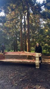 Kew Gardens Redwood Bench install