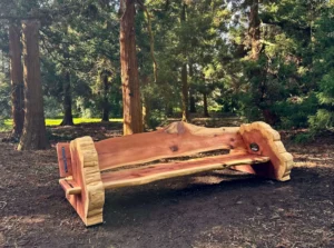Kew Gardens Redwood Bench