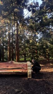 Redwood Bench Kew Gardens install