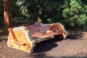 Redwood bench Kew Gardens