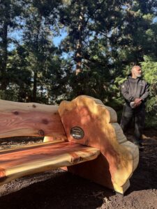 Redwood bench install Kew Gardens