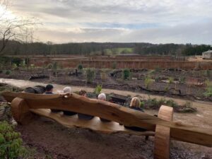 Shugborough Estate Oak Bench Views
